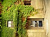 DSCN1718.JPG